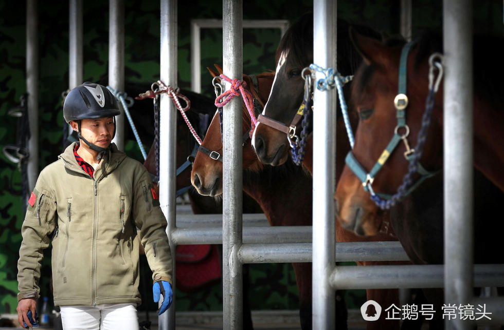 高清：90后男孩当马术教练年挣10万 没空恋爱 第1页