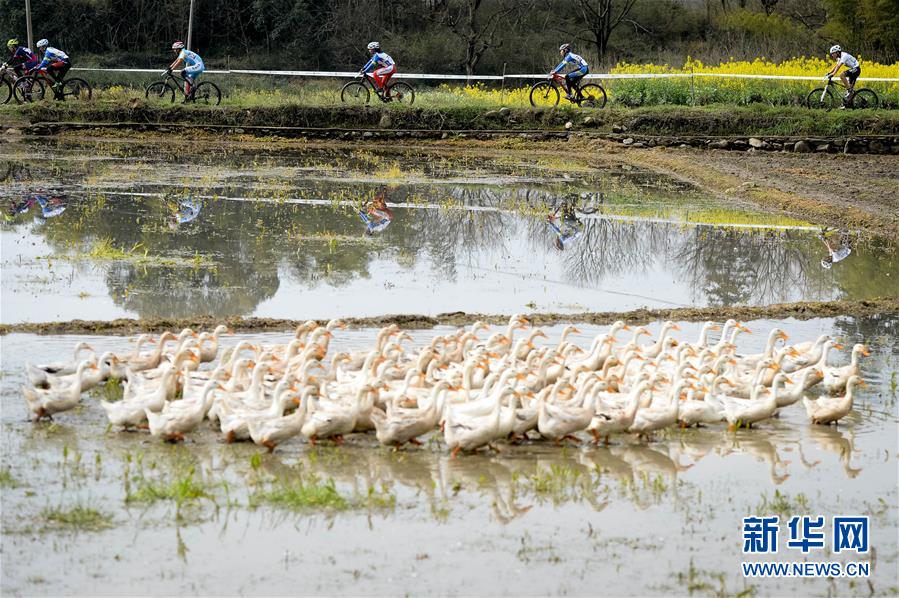 自行车——第12届中国黄山国际山地车公开赛开赛(3) 第3页