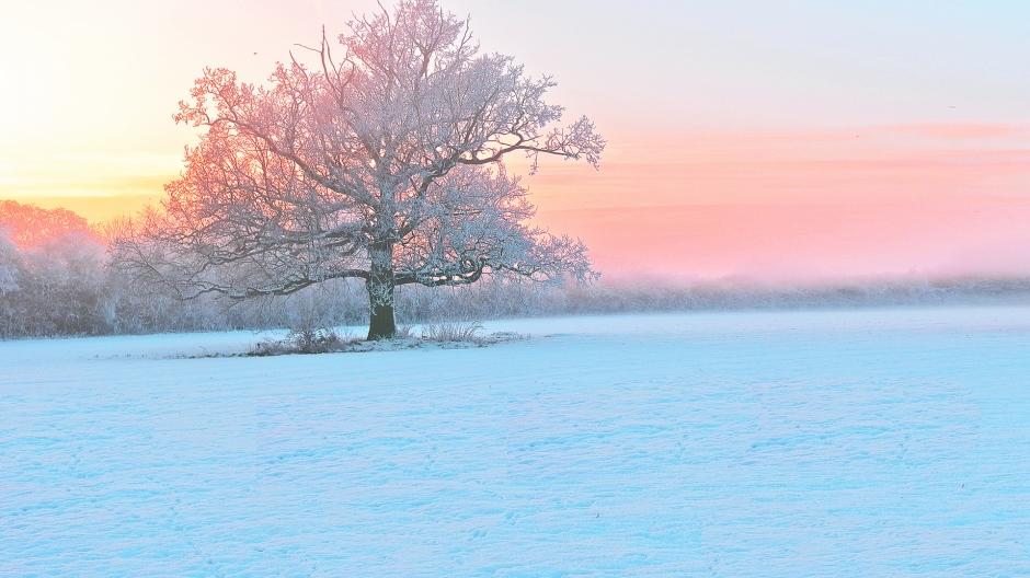 冬季恋歌雪景高清图片 精选好看的冬季自然风光雪景高清图片素材桌面