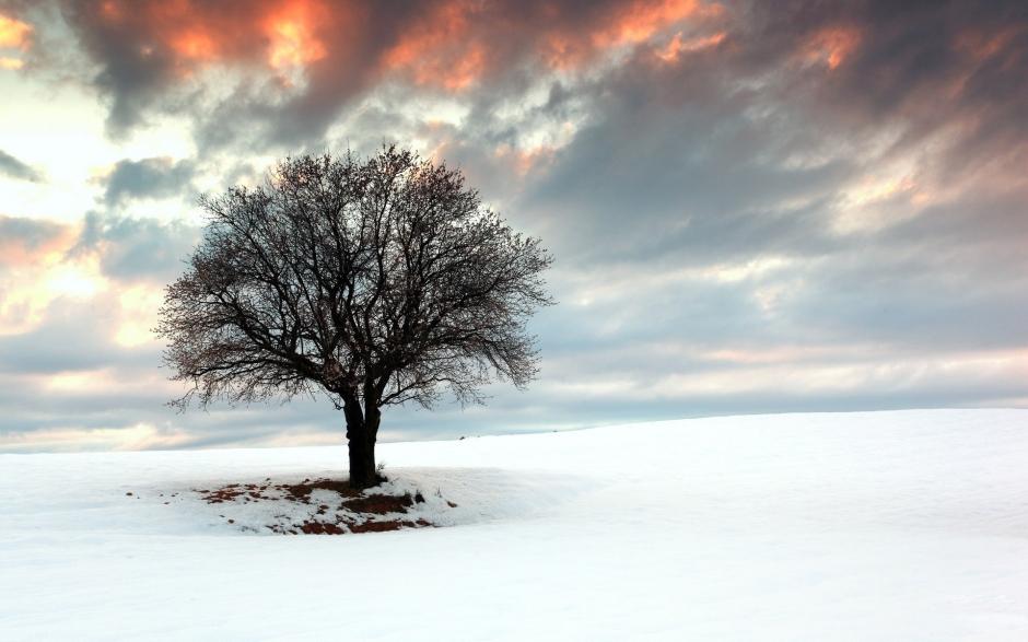 雪景的图片 白雪皑皑唯美意境雪景图片桌面壁纸