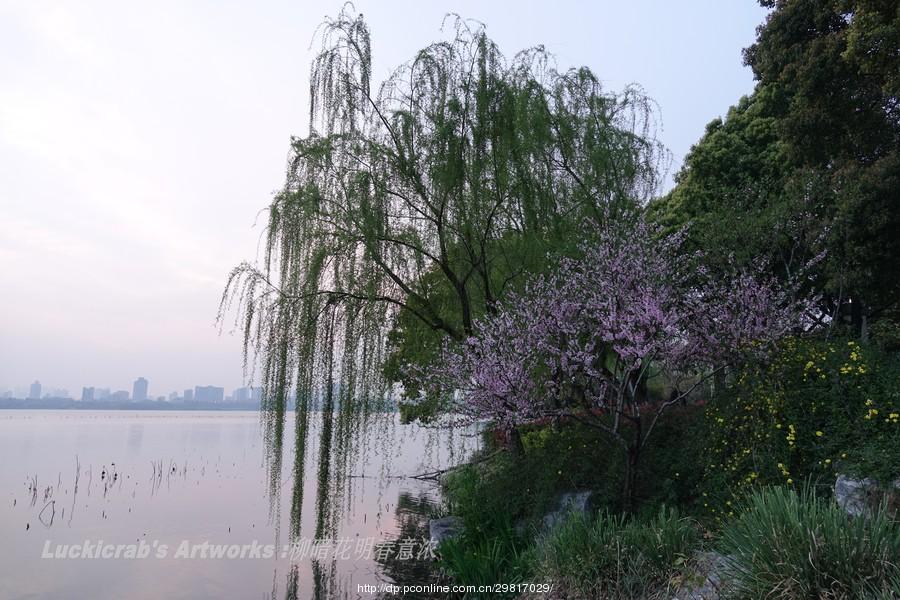 柳暗花明最为春(18) 第18页