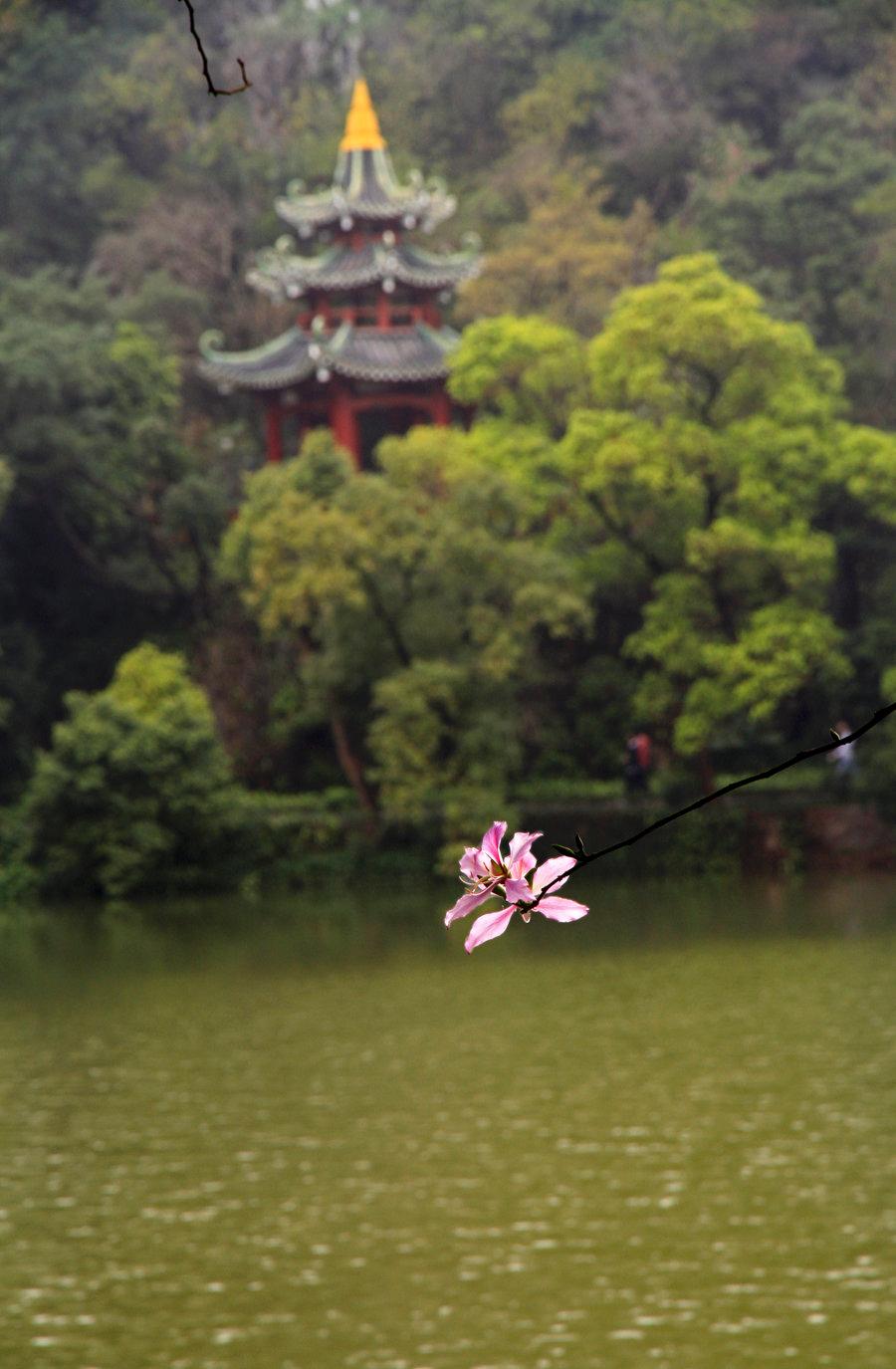 烟雨砚都 第1页