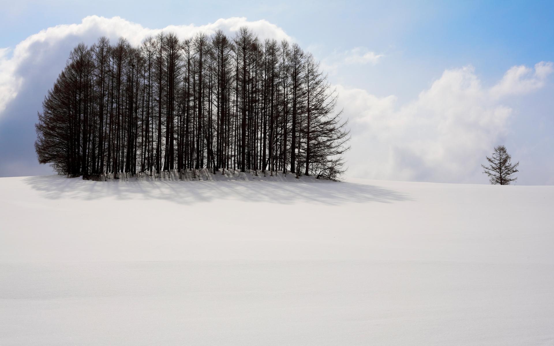 电脑桌面雪景壁纸 迷人的冬季雪景高清电脑桌面壁纸