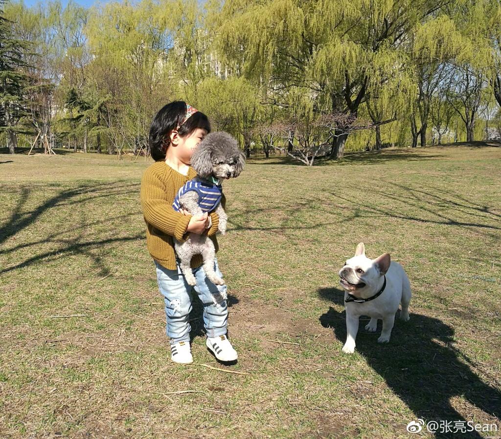 张亮女儿长得像不像爸爸？看看张亮晒的照片(3) 第3页