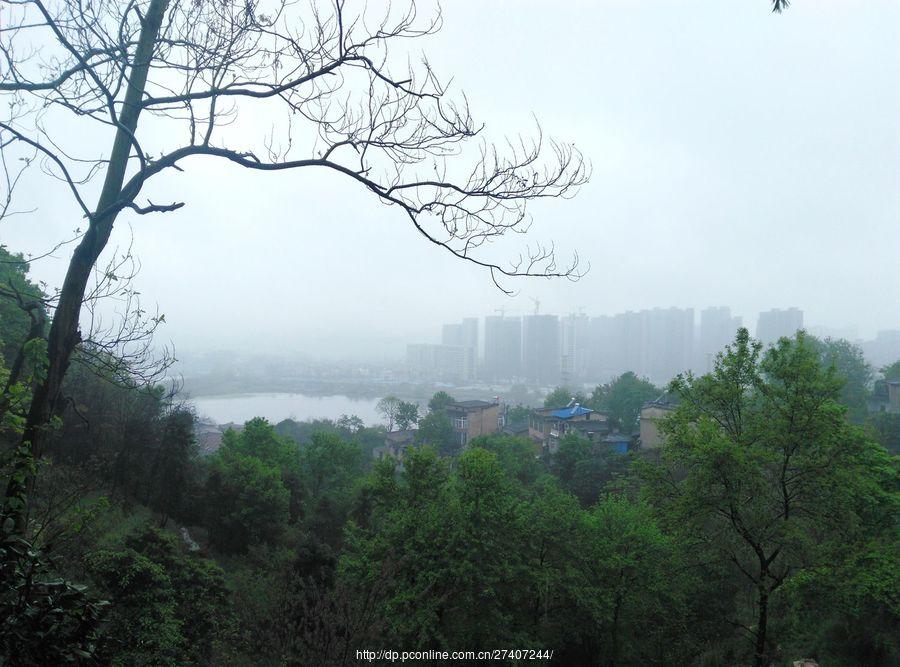 雨中漫步盘龙山 第1页