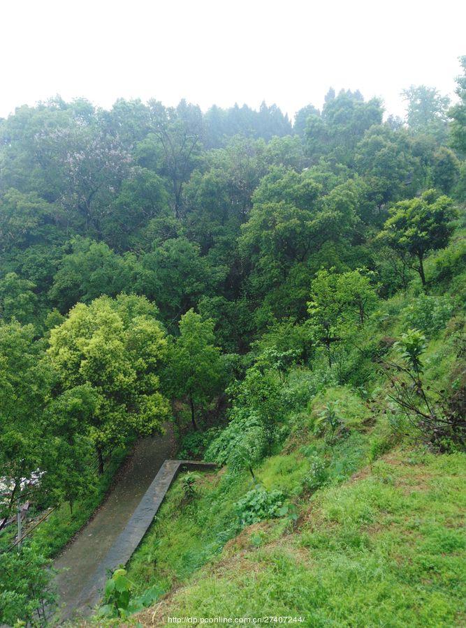 雨中漫步盘龙山(10) 第10页