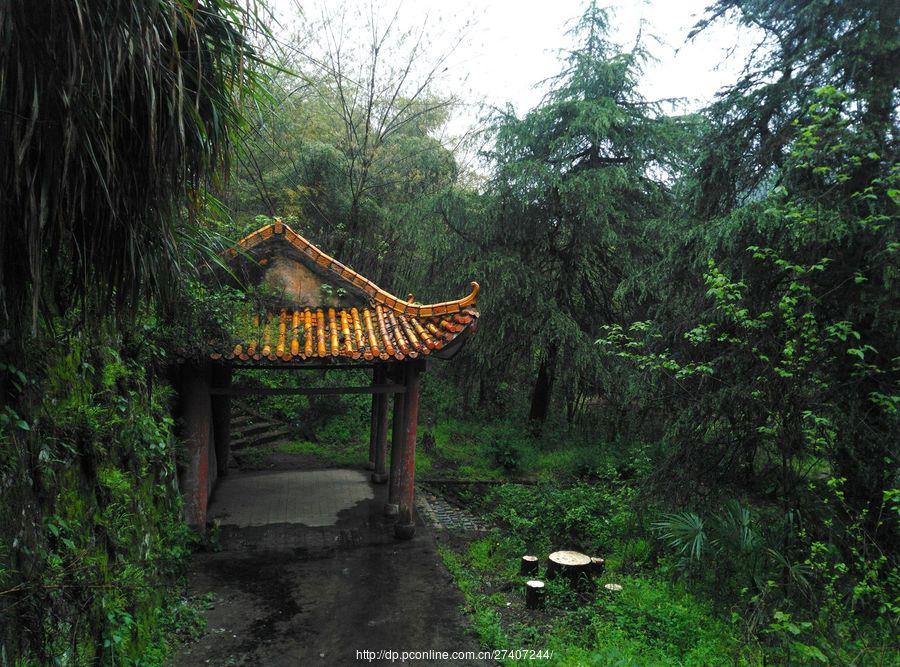 雨中漫步盘龙山(5) 第5页