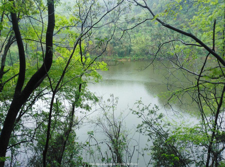 雨中漫步盘龙山(6) 第6页