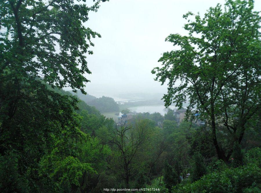 雨中漫步盘龙山(8) 第8页