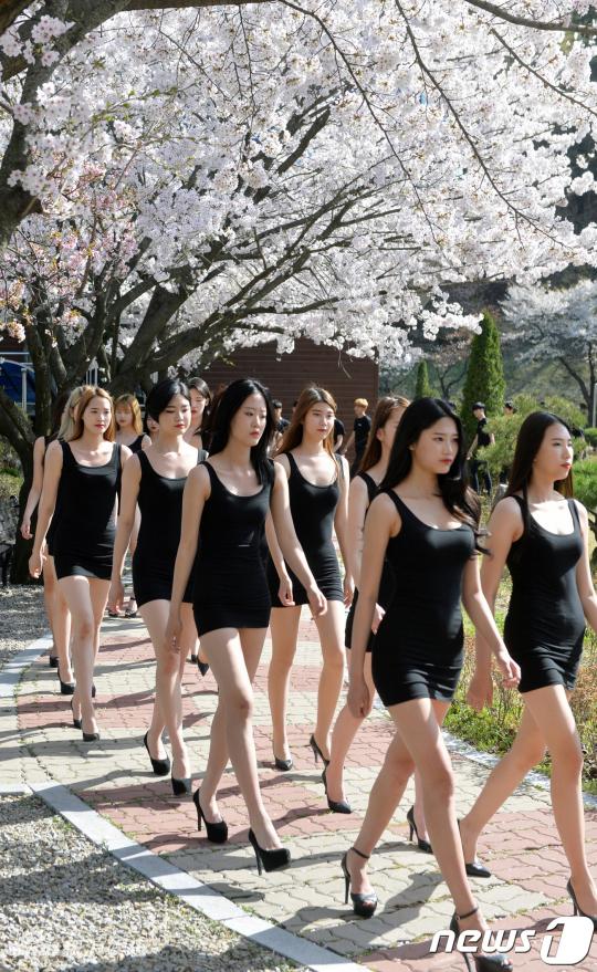 组图：韩大学生樱花树下走秀 长腿姣好身材吸睛 第1页