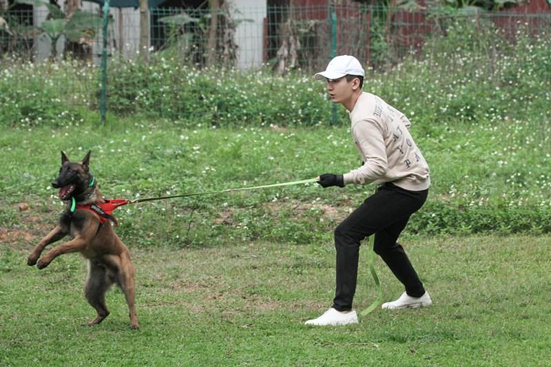 成毅魔鬼训练备战电影 变警犬训导身手不凡(3) 第3页