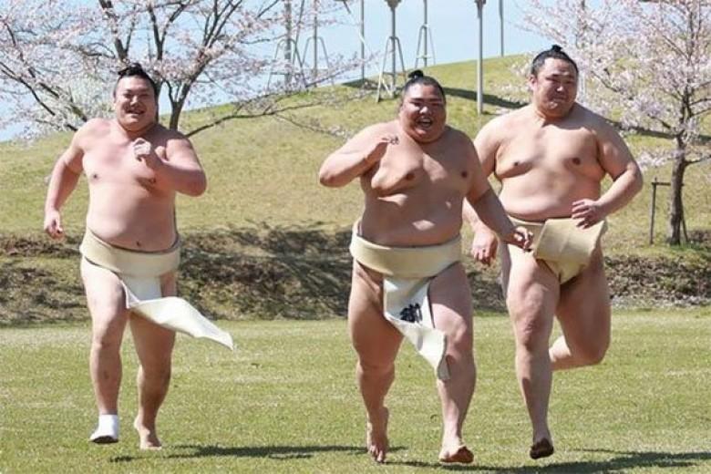 组图：日本相扑手樱花树下拍妩媚写真 网友评论想打人(3) 第3页