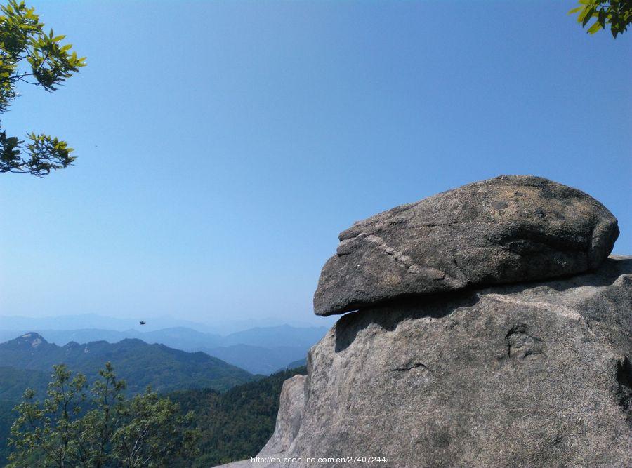 罗田黄狮寨杜鹃花海