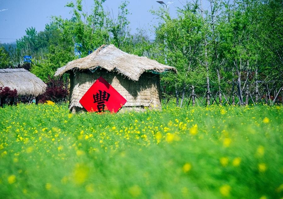 西海岸生态园 第1页