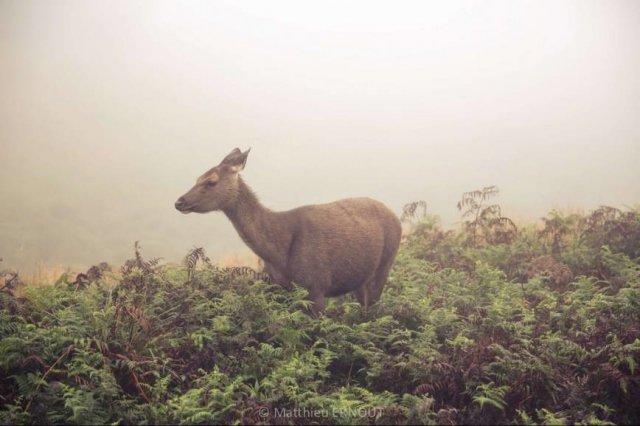 传说中有这么多地方 被称为"世界尽头"(2) 第2页