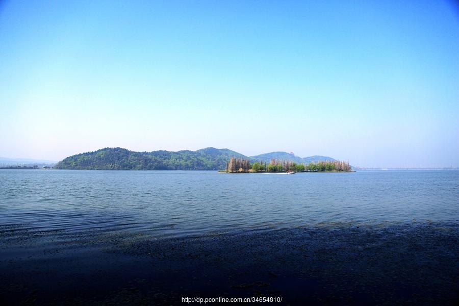 落雁小景(7) 第7页