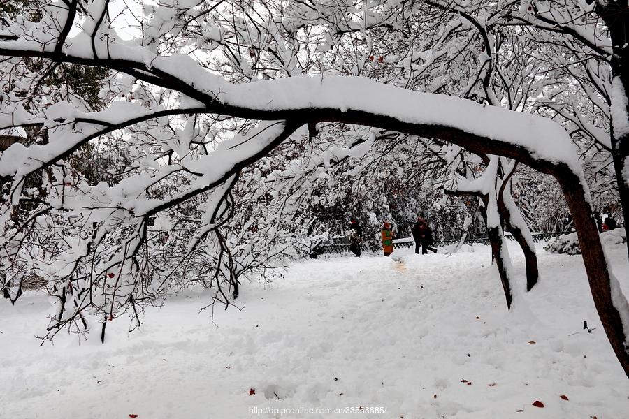 雪中情趣(18) 第18页