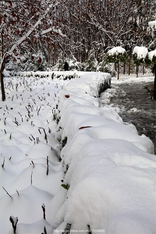 雪中情趣(30) 第30页