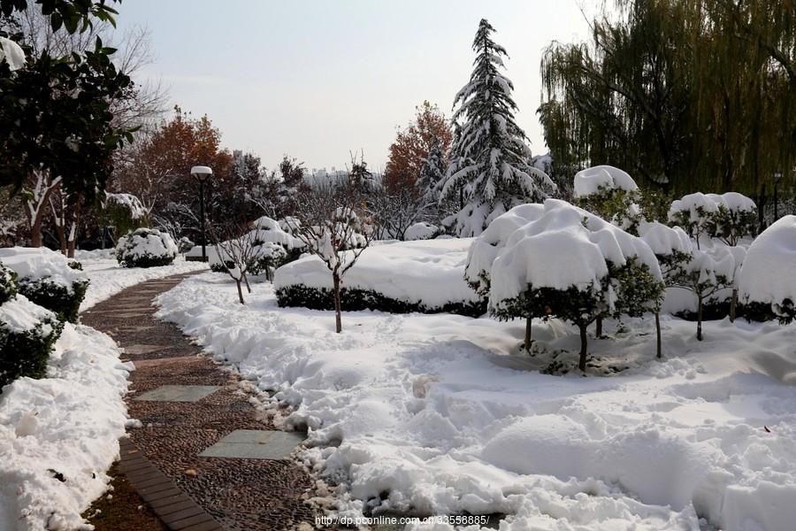 雪中情趣(41) 第41页