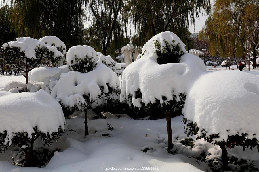 雪中情趣(42) 第42页