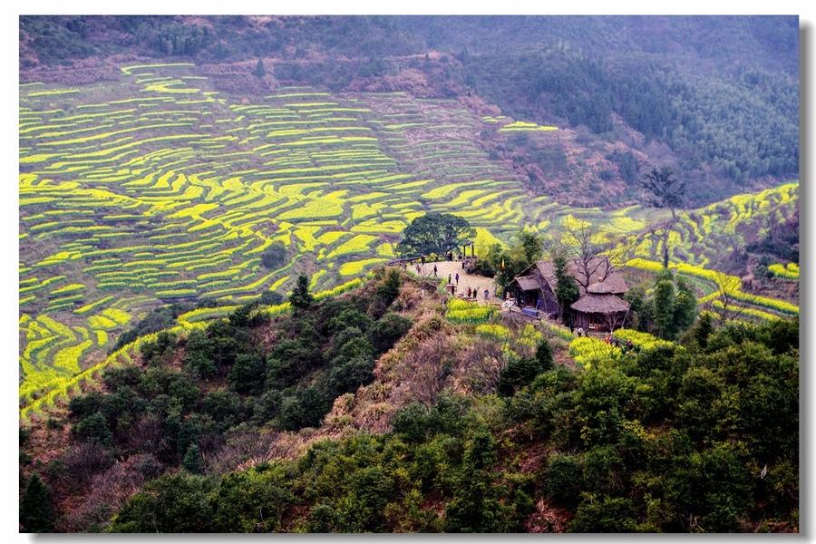 【婺源之旅】——篁岭花海随拍(3) 第3页