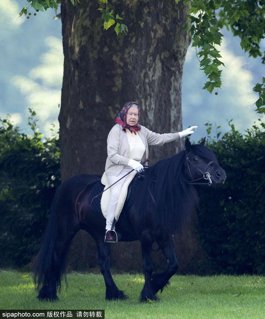 英国女王与菲利普亲王骑马与外出散步 精神抖擞 第1页