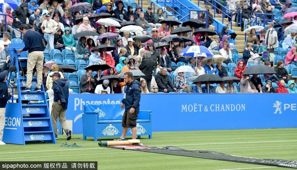 2017ATP/WTA伊斯特本国际赛男单第2轮：德约科维奇VS波斯皮西(22) 第22页