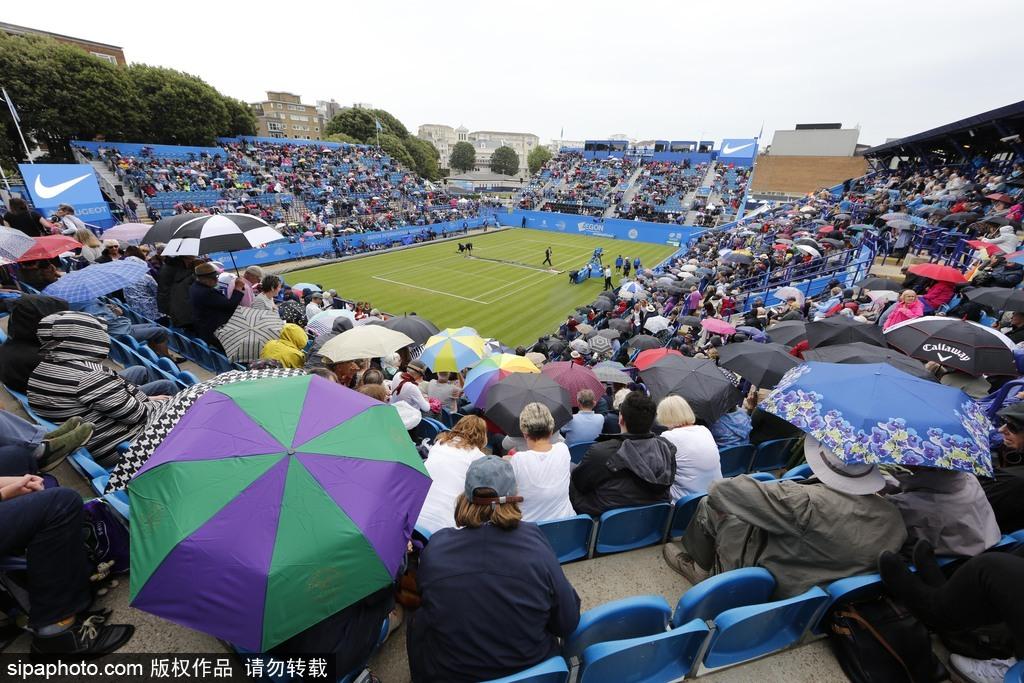 2017ATP/WTA伊斯特本国际赛男单第2轮：德约科维奇VS波斯皮西(3) 第3页