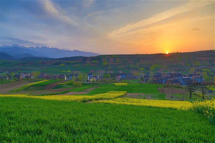 陕西西安鲍旗寨村油菜花风景图片 第1页