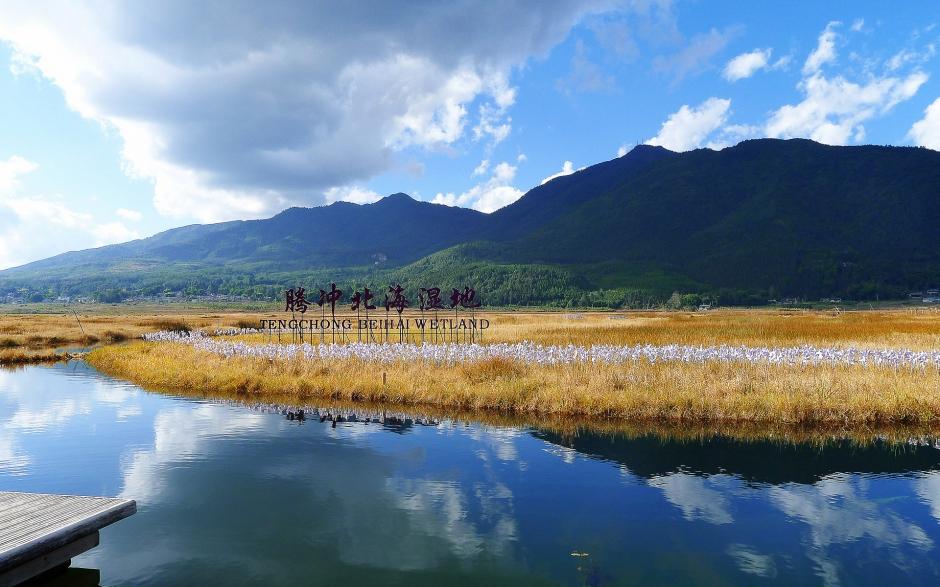 腾冲北海湿地风景壁纸高清