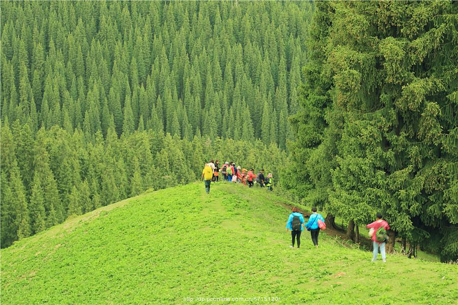 夏日南山牧场(4) 第4页