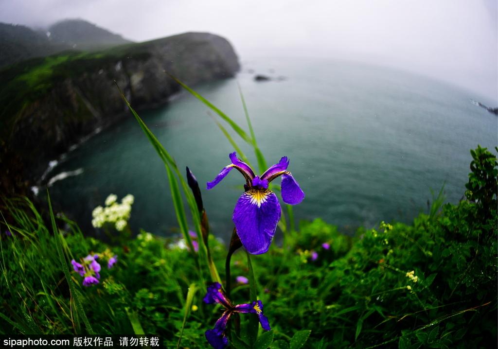 堪察加半岛仙踪旅途记 探寻世界的角落（上） 第1页