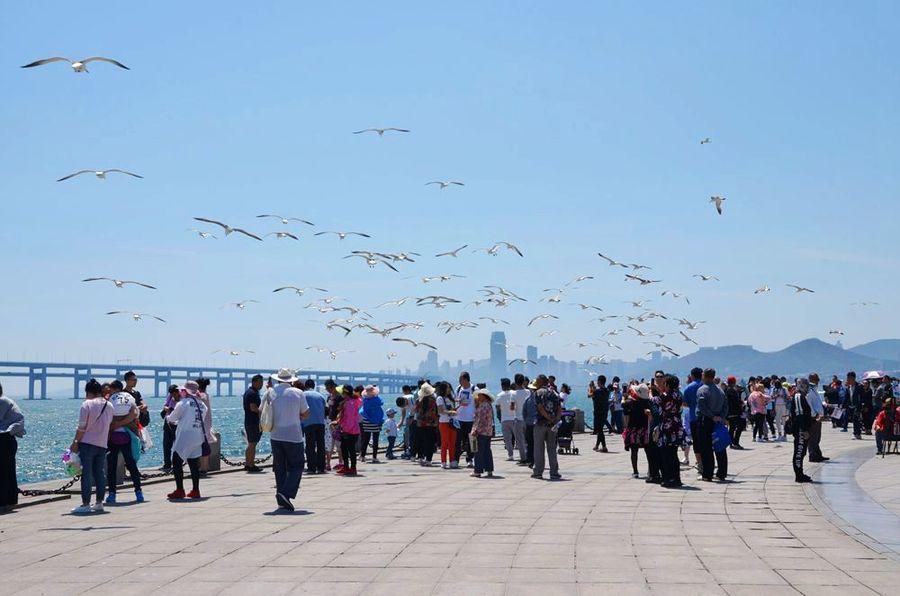 辽宁旅游图片—大连星海广场(9) 第9页