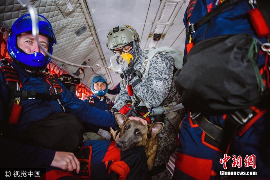 神兵天降！哥伦比亚军犬从四千米高空跳伞(2) 第2页