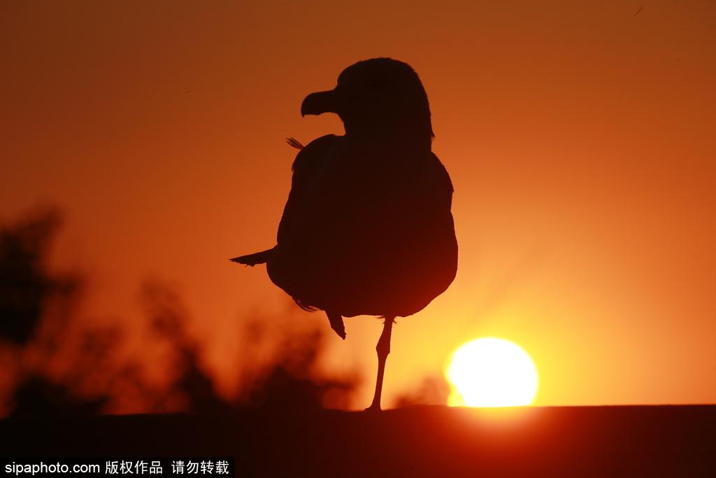 环球网旅游推荐：看尽俄罗斯塞瓦斯托波尔岁月静好之美 第1页