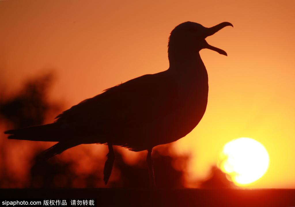 环球网旅游推荐：看尽俄罗斯塞瓦斯托波尔岁月静好之美(9) 第9页