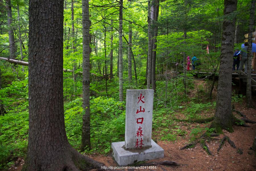 火山口地下森林(21) 第21页