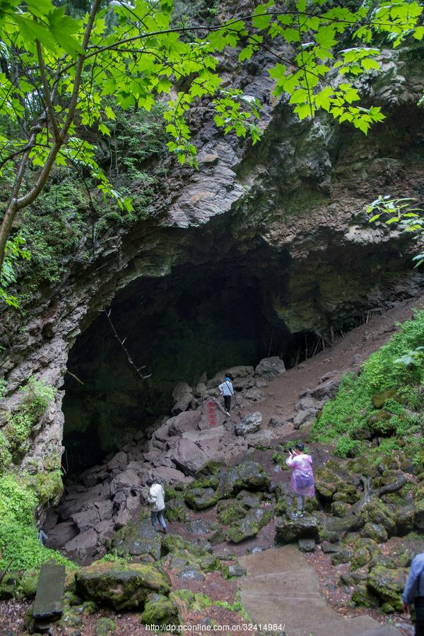 火山口地下森林(28) 第28页