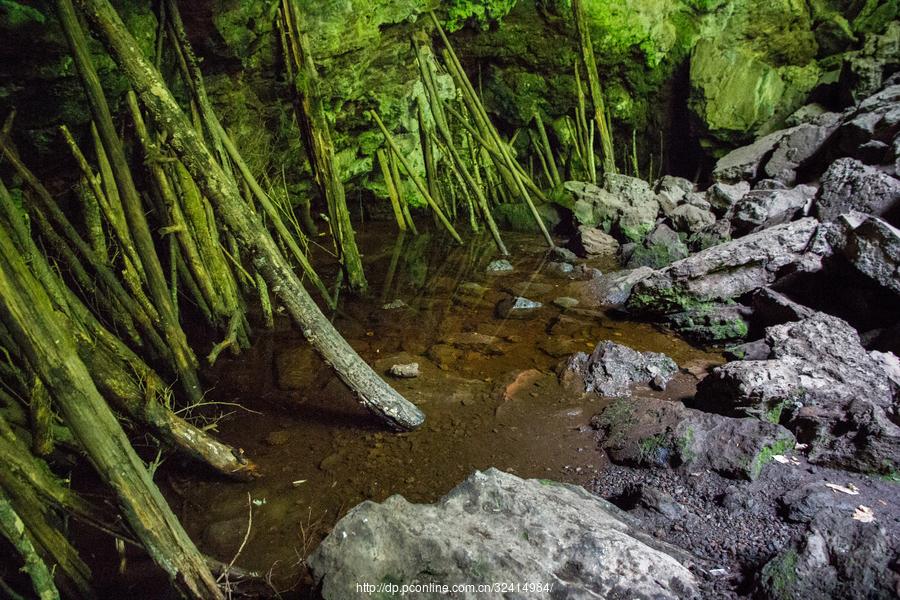 火山口地下森林(32) 第32页