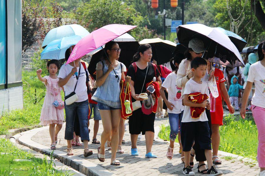 肥东撮镇龙栖地荷花园(13) 第13页