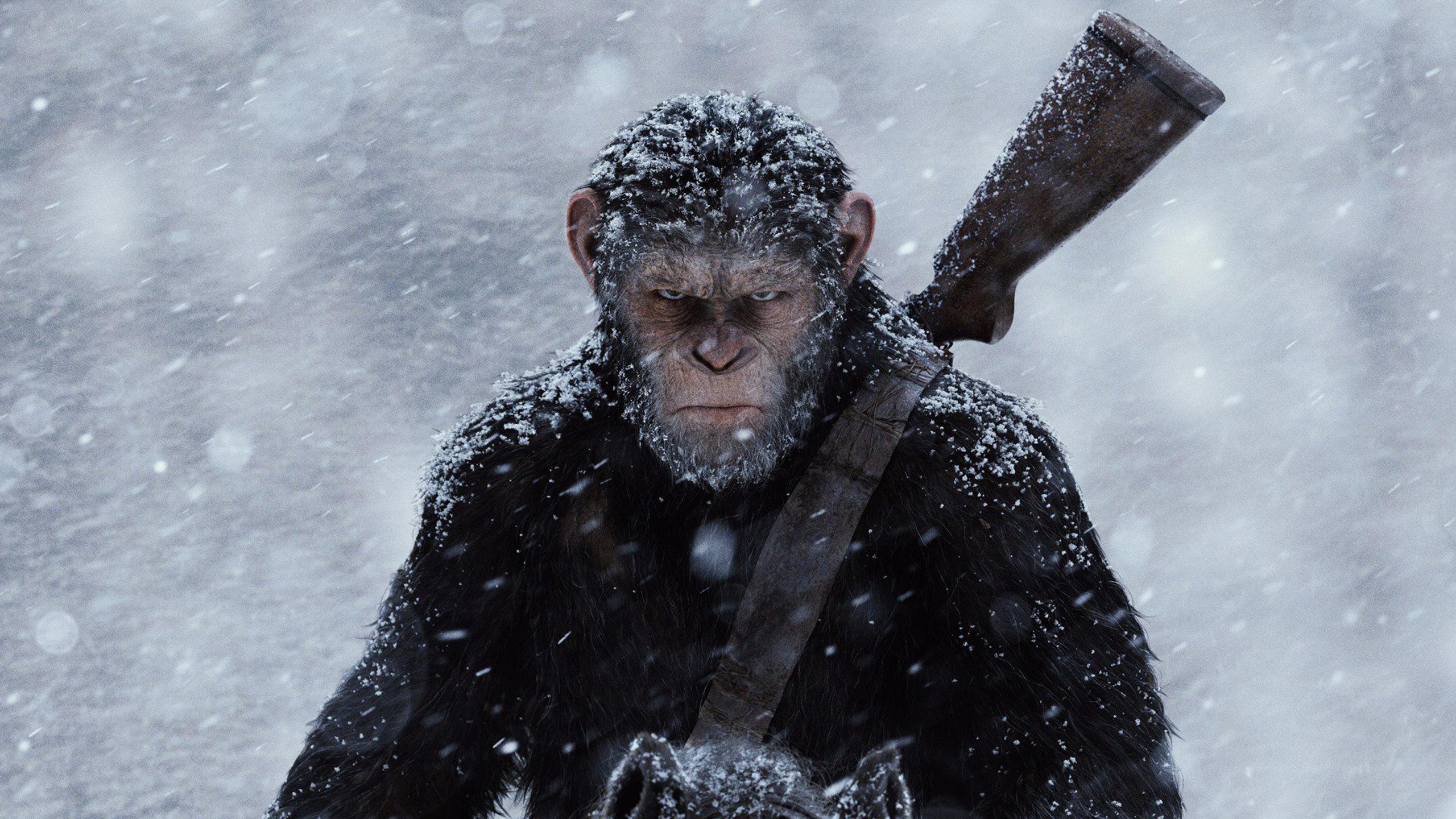 《猩球崛起3:终极之战》电影人物剧照图片