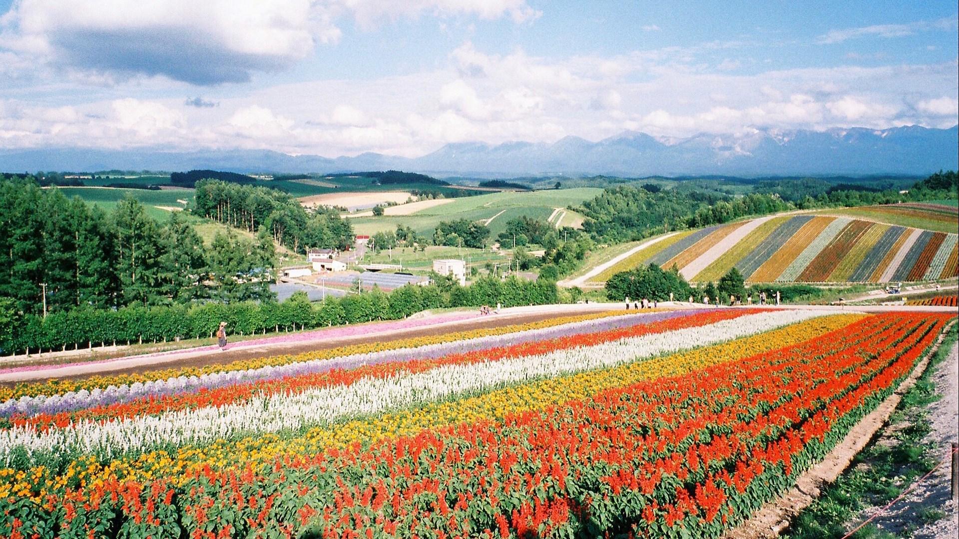 日本北海道唯美自然风光高清桌面壁纸