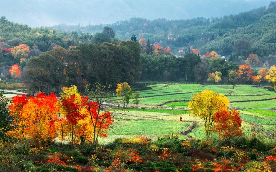 黄山塔川秋色风景图片电脑壁纸 第1页