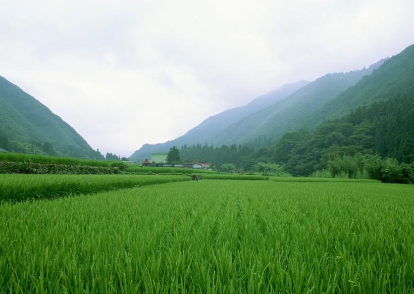 广阔的山间田园风光 第1页