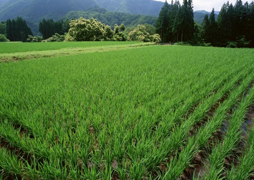 广阔的山间田园风光(4) 第4页