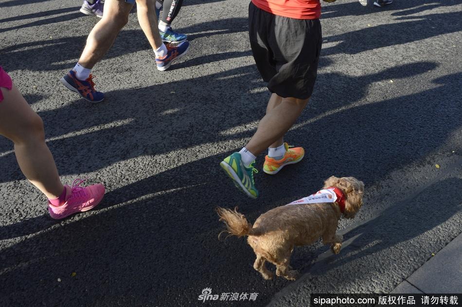 2017北京马拉松选手各路奇葩造型夺目吸睛(4) 第4页