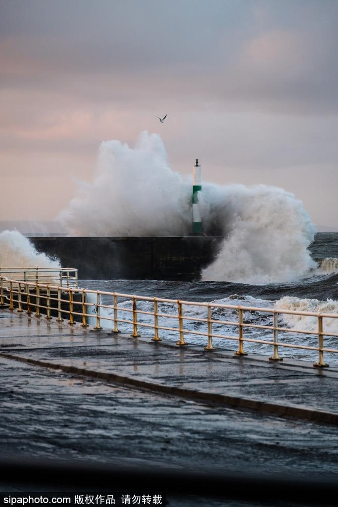 飓风“奥菲莉娅”袭击英国海岸 海边巨浪滔天 第1页