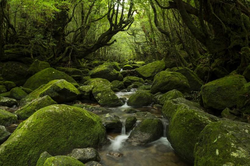 湖南张家界风景图片 第1页