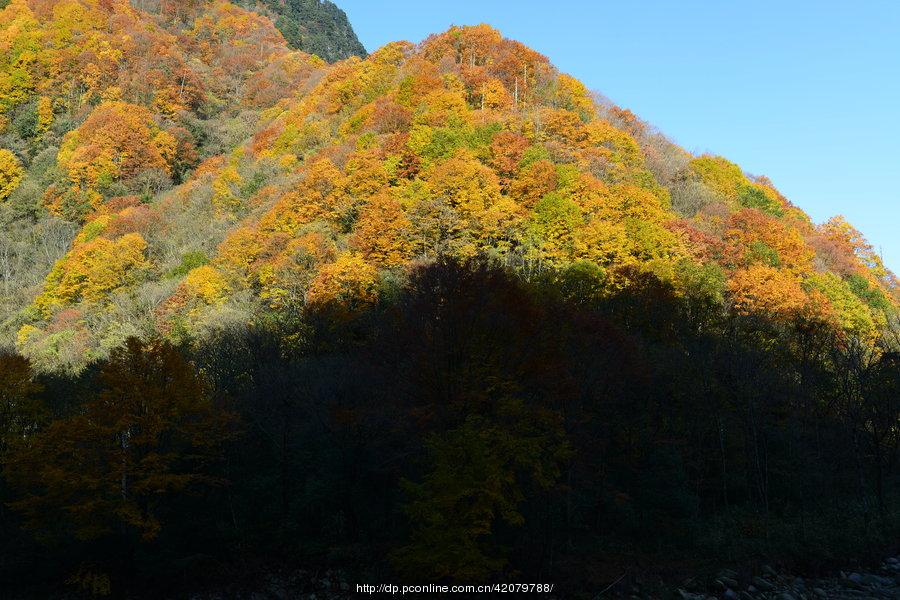 金光闪闪光雾山。(13) 第13页