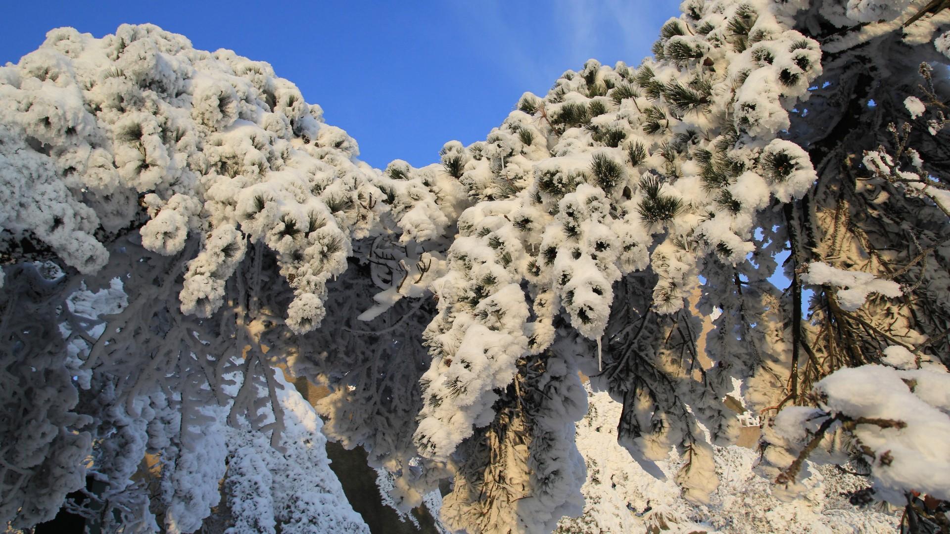 安徽天柱山雪景壁纸(2) 第2页